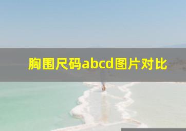 胸围尺码abcd图片对比