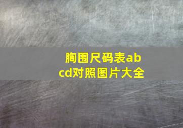 胸围尺码表abcd对照图片大全