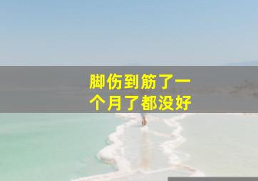 脚伤到筋了一个月了都没好