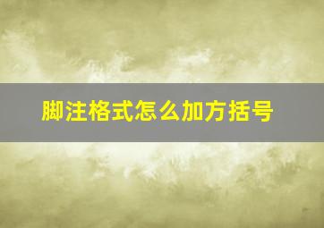 脚注格式怎么加方括号