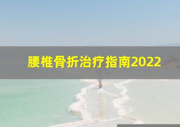 腰椎骨折治疗指南2022