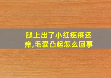 腿上出了小红疙瘩还痒,毛囊凸起怎么回事