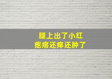 腿上出了小红疙瘩还痒还肿了