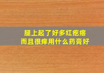 腿上起了好多红疙瘩而且很痒用什么药膏好