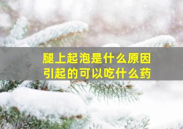 腿上起泡是什么原因引起的可以吃什么药