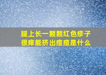 腿上长一颗颗红色疹子很痒能挤出痘痘是什么