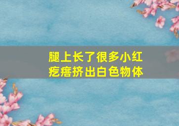 腿上长了很多小红疙瘩挤出白色物体