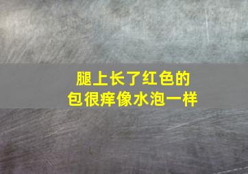 腿上长了红色的包很痒像水泡一样