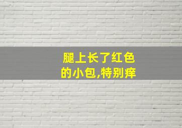 腿上长了红色的小包,特别痒