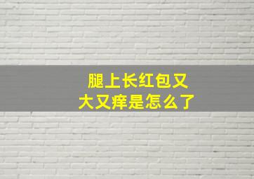 腿上长红包又大又痒是怎么了