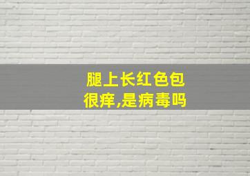 腿上长红色包很痒,是病毒吗