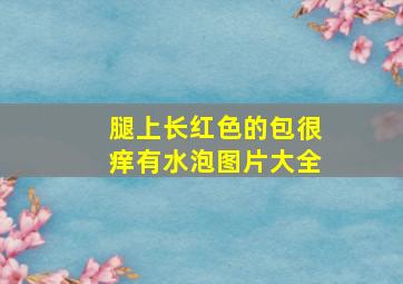 腿上长红色的包很痒有水泡图片大全