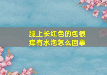 腿上长红色的包很痒有水泡怎么回事