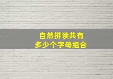 自然拼读共有多少个字母组合