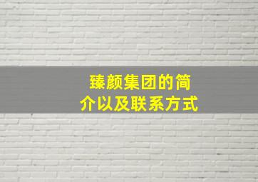 臻颜集团的简介以及联系方式