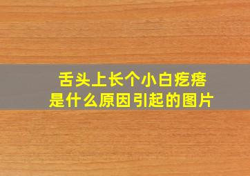 舌头上长个小白疙瘩是什么原因引起的图片