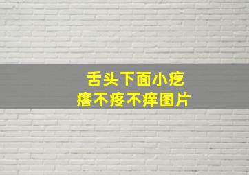 舌头下面小疙瘩不疼不痒图片