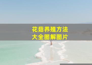 花菇养殖方法大全图解图片