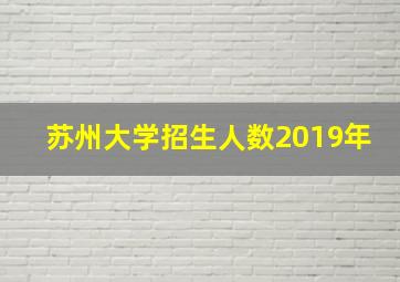 苏州大学招生人数2019年