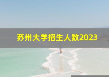 苏州大学招生人数2023