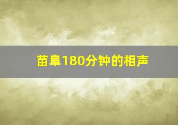 苗阜180分钟的相声