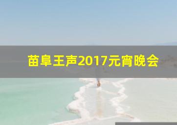 苗阜王声2017元宵晚会