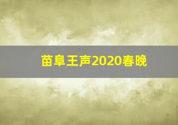 苗阜王声2020春晚