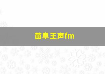 苗阜王声fm