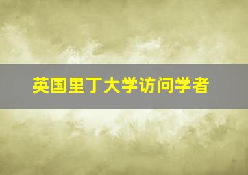 英国里丁大学访问学者