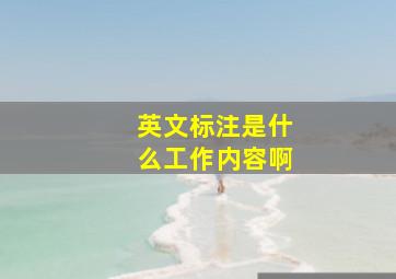 英文标注是什么工作内容啊