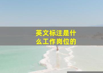 英文标注是什么工作岗位的