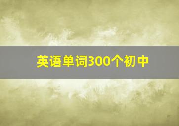 英语单词300个初中