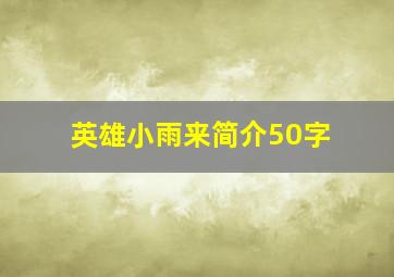 英雄小雨来简介50字