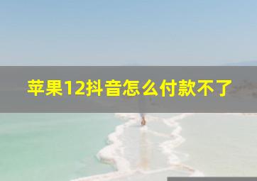 苹果12抖音怎么付款不了