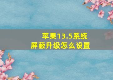 苹果13.5系统屏蔽升级怎么设置