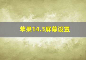 苹果14.3屏幕设置