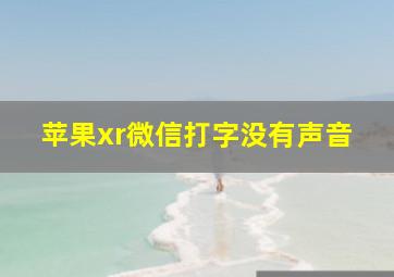 苹果xr微信打字没有声音