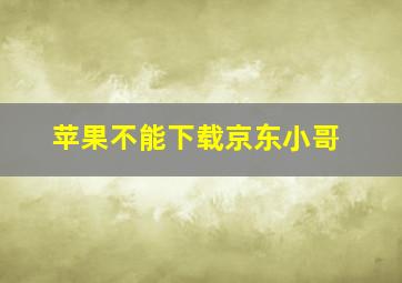 苹果不能下载京东小哥