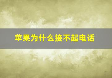 苹果为什么接不起电话