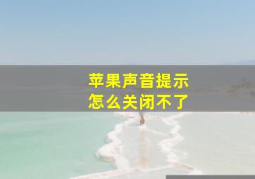 苹果声音提示怎么关闭不了