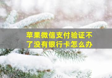 苹果微信支付验证不了没有银行卡怎么办