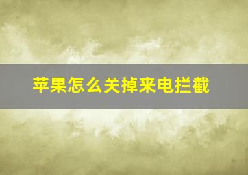 苹果怎么关掉来电拦截