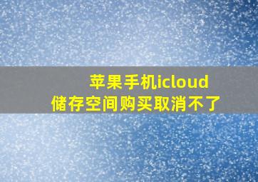 苹果手机icloud储存空间购买取消不了