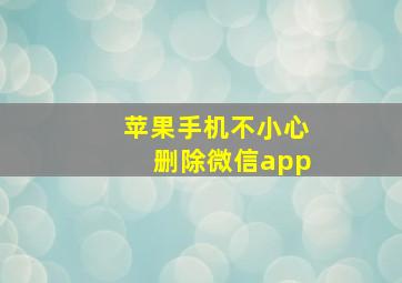 苹果手机不小心删除微信app