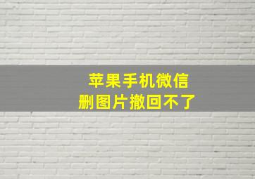 苹果手机微信删图片撤回不了