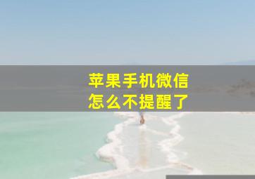 苹果手机微信怎么不提醒了