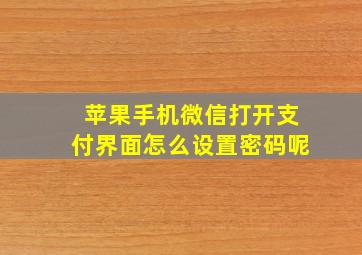 苹果手机微信打开支付界面怎么设置密码呢