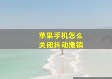 苹果手机怎么关闭抖动撤销