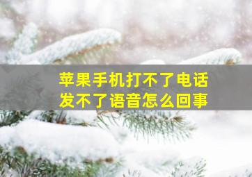 苹果手机打不了电话发不了语音怎么回事