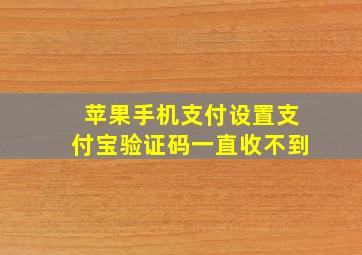 苹果手机支付设置支付宝验证码一直收不到